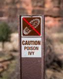 Wilderness & Remote First Aid